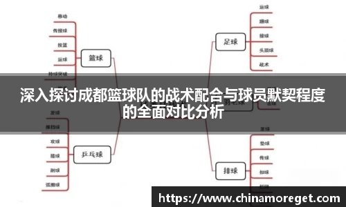 深入探讨成都篮球队的战术配合与球员默契程度的全面对比分析